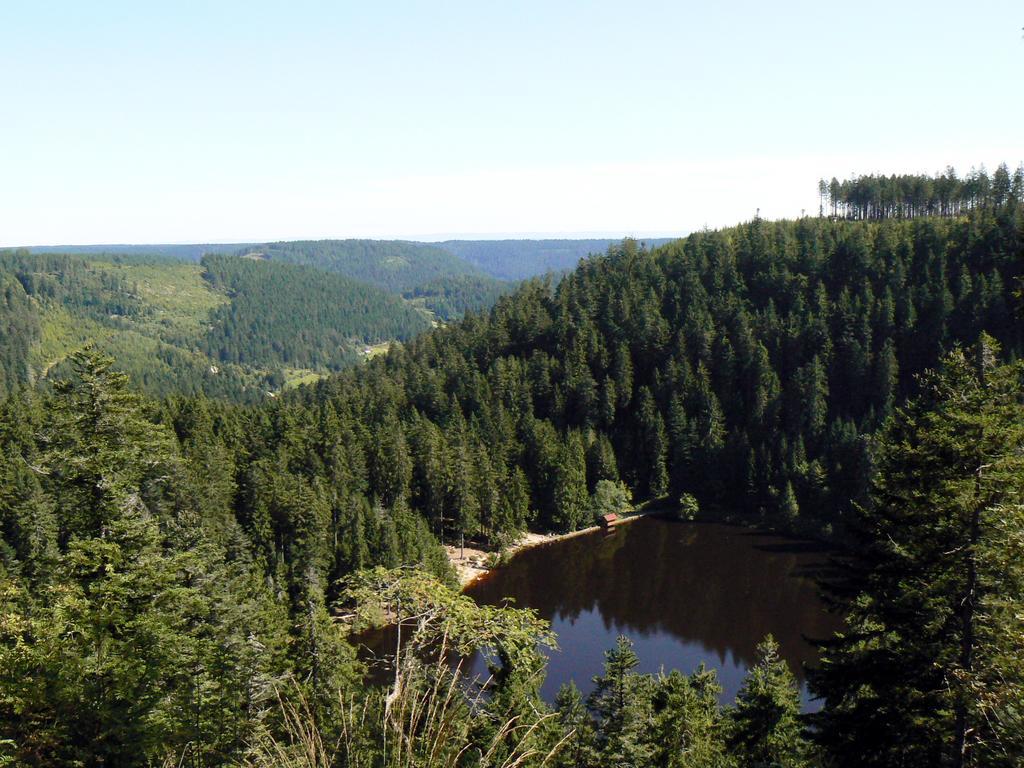 Pension Talblick Байрсброн Экстерьер фото